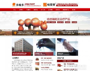 哈爾濱老王網絡公司 一站式網絡建設與推廣服務，助您決勝數字時代